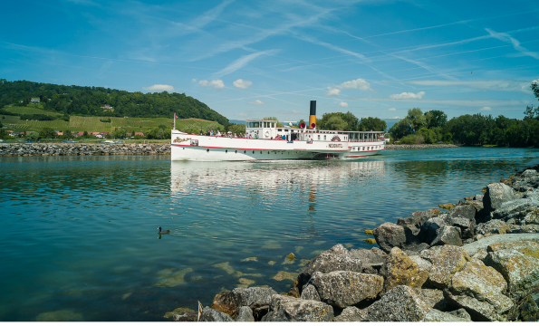 Société de Navigation sur les lacs de Neuchâtel et Morat SA (LNM) | Carte journalière 3 lacs à 25.- (Neuch, Morat)