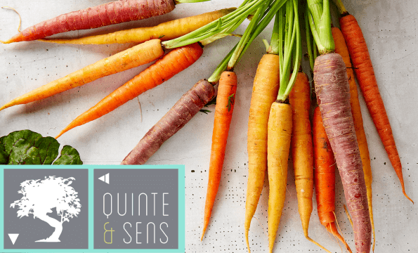 Quinte & Sens | MAGASIN BIO VEVEY | 20% de remise