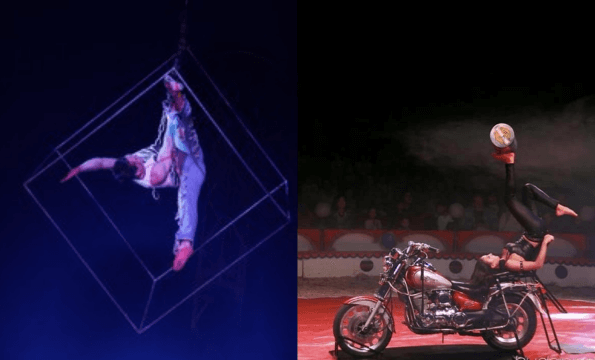 CIRQUE DE NOËL GENÈVE | Jusqu'à CHF 10.- offerts