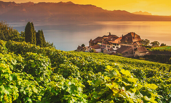 AUBERGE DU VIGNERON | CHF 20.- offerts