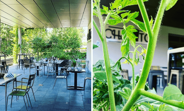 BRASSERIE CHEZ TOF LAUSANNE | CHF 20.- offerts 