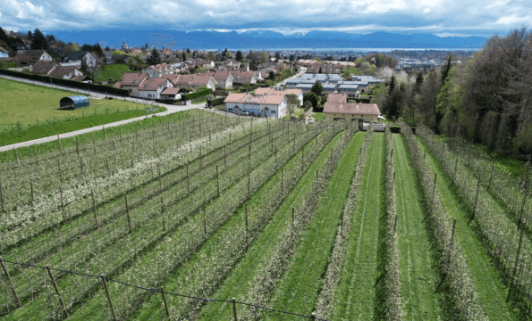 FRUITS FRAIS DE CRISSIER | 1 panier offert