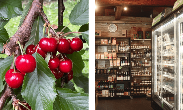 PRODUITS LOCAUX & ÉPICERIE | CHF 10.- offerts