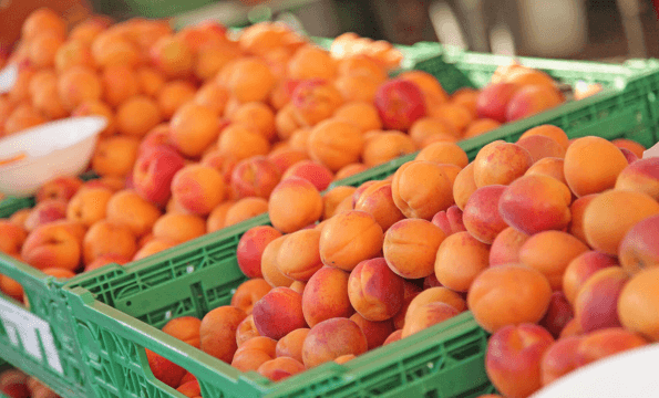 SUPERMARCHÉ BIO ｜20% de remise