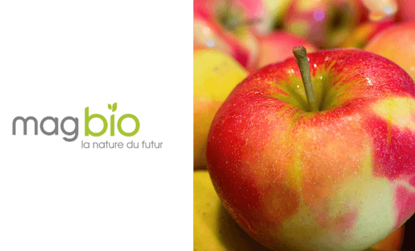SUPERMARCHÉ BIO ｜20% de remise
