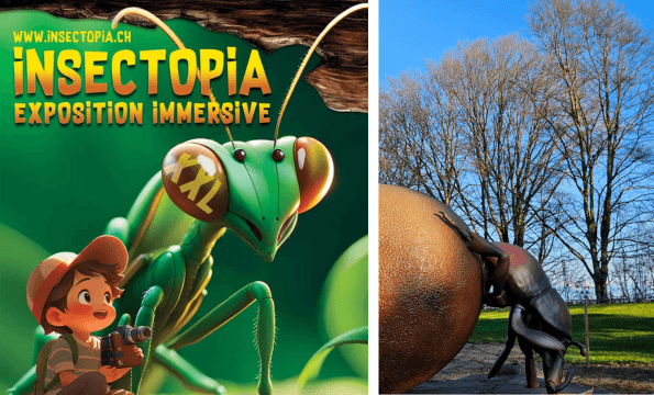 Insectopia