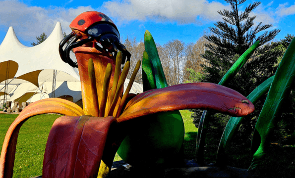 INSECTOPIA EXPOSITION IMMERSIVE | Entrée offerte